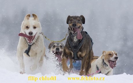 Tri studne zima 2009 - 1032.jpg